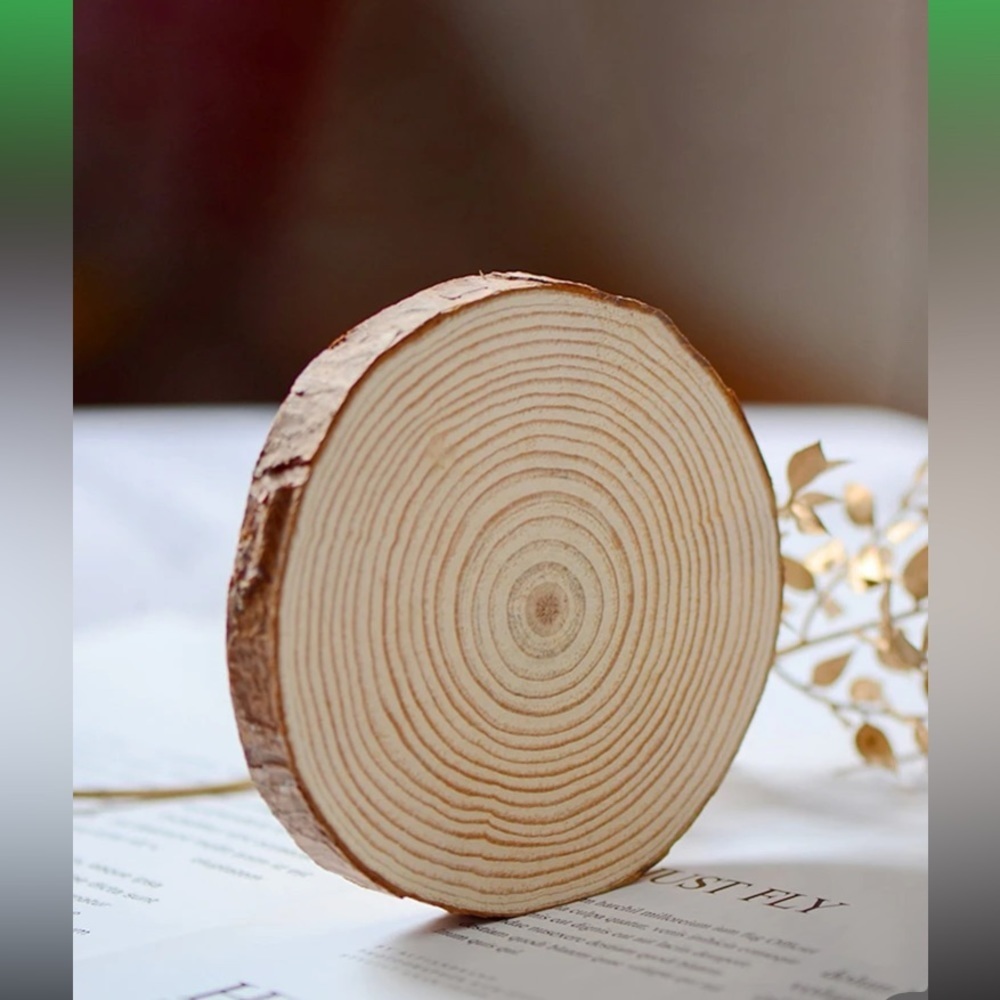 1set/6pcs 10-12cm Round Pine Wood Slices For Diy Crafts - Picture 8 of 16